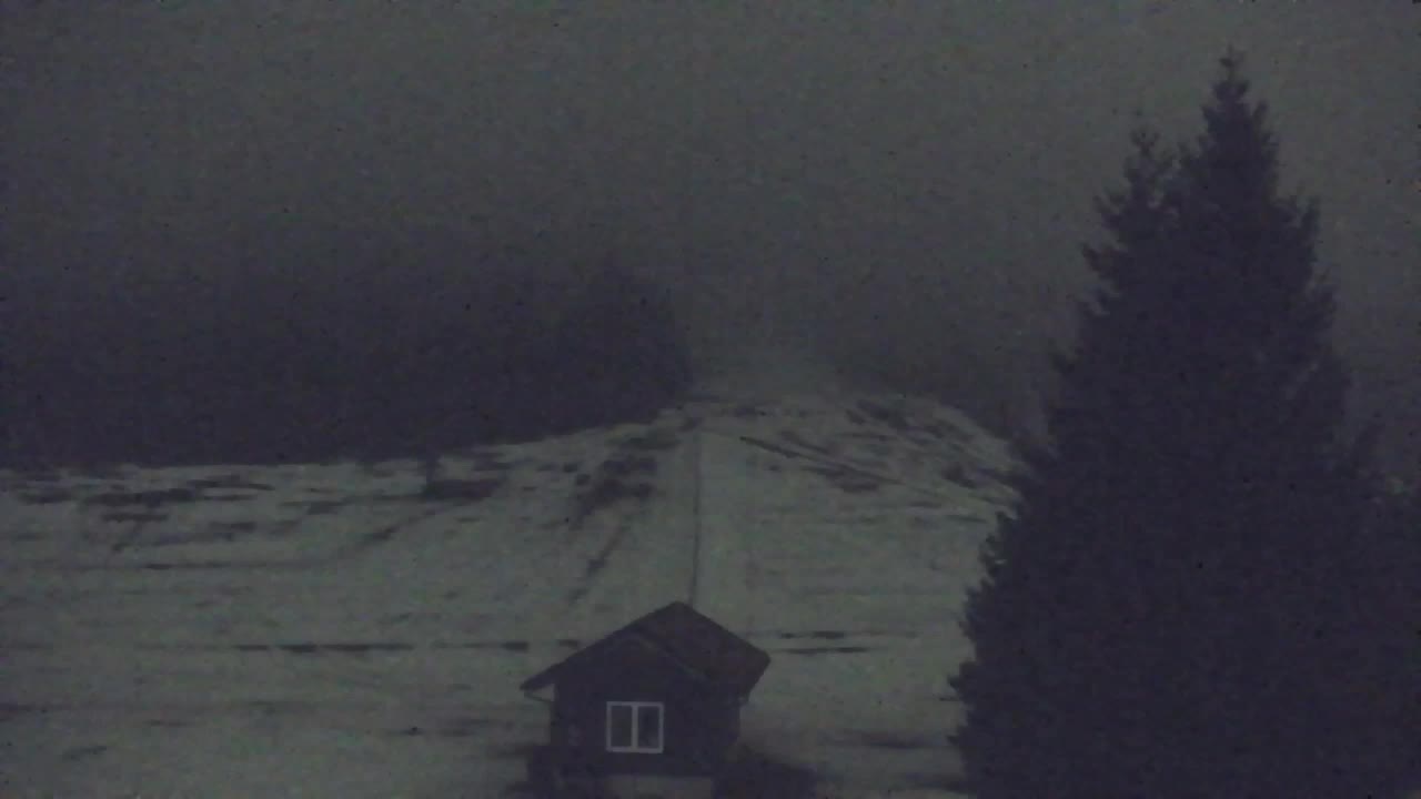 Webcam Lokve – The beauty of the Trnovo forest