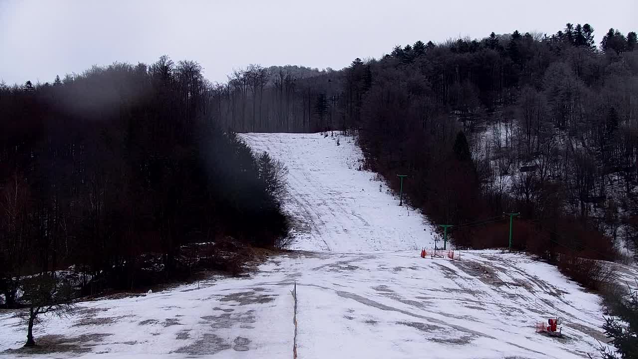 Webcam Lokve – The beauty of the Trnovo forest