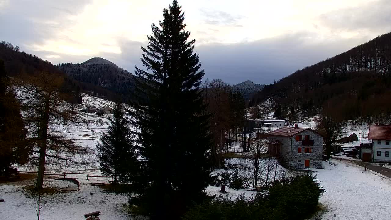 Webcam Lokve – La beauté de la forêt de Trnovo