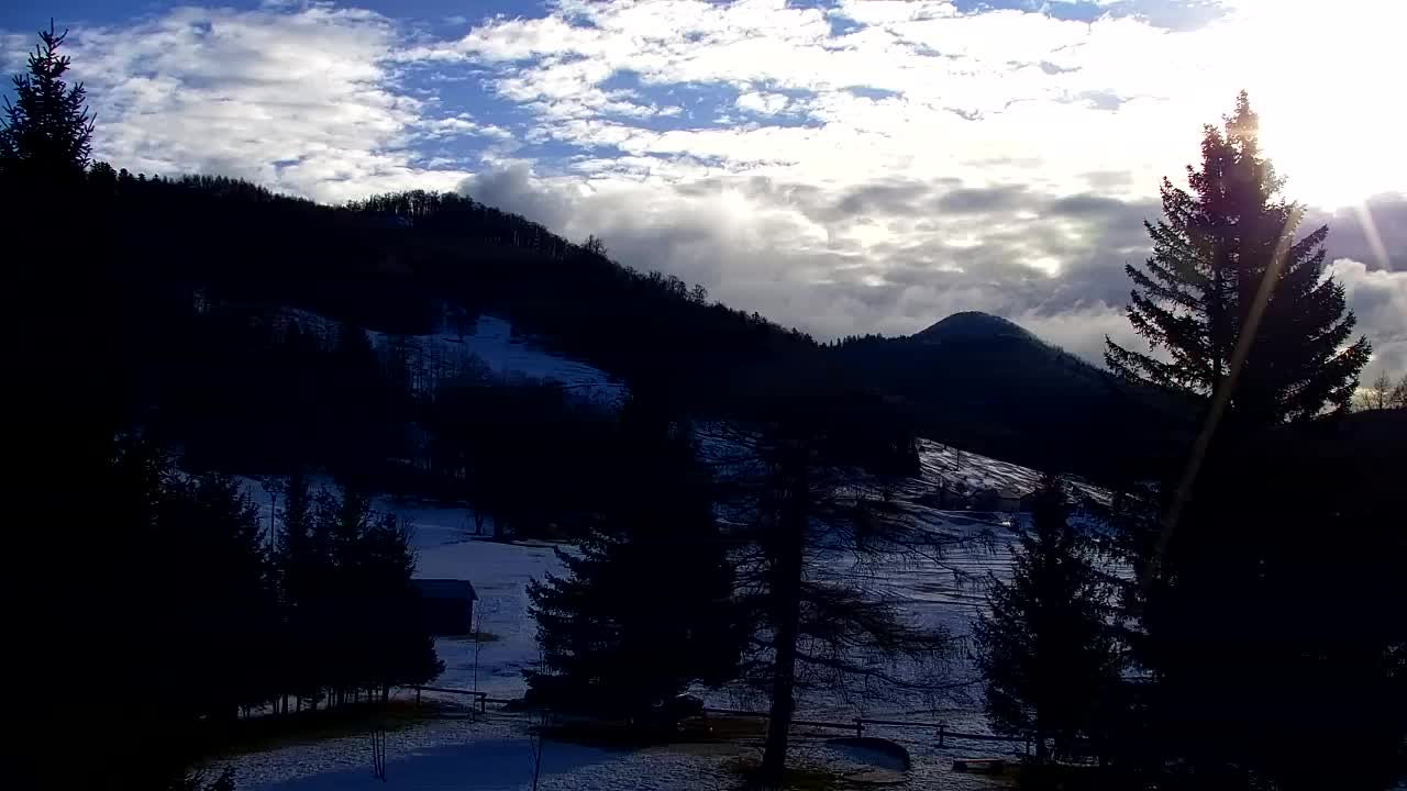 Webcam Lokve – The beauty of the Trnovo forest