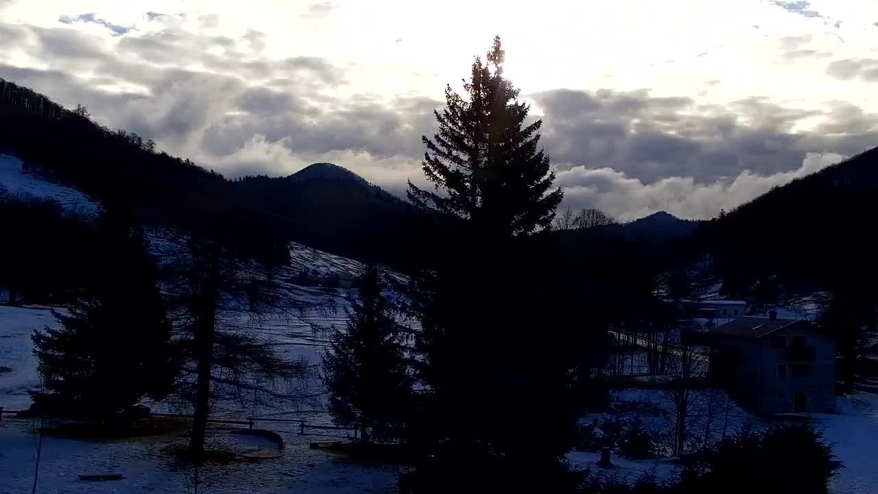 Webcam Lokve – La beauté de la forêt de Trnovo