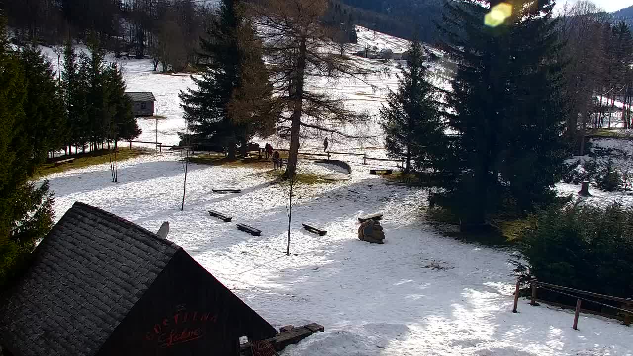 Webcam Lokve – La beauté de la forêt de Trnovo