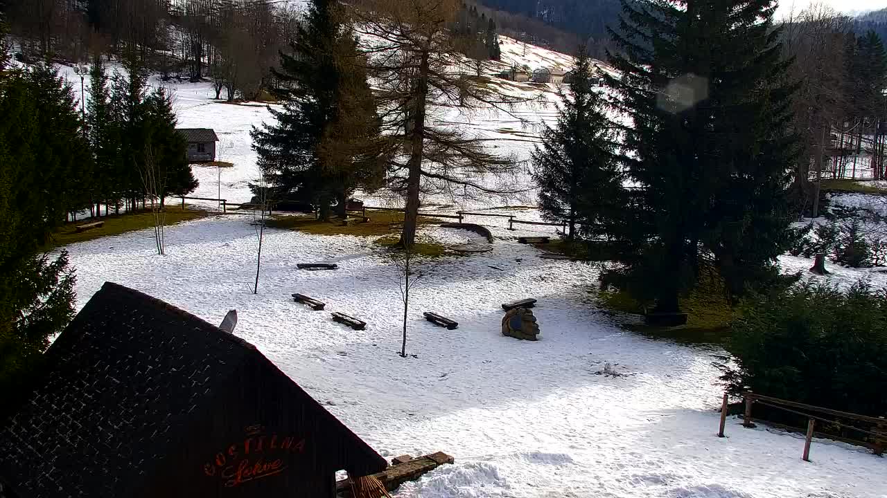 Webcam Lokve – The beauty of the Trnovo forest