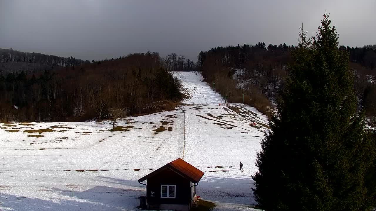 Webcam Lokve – La beauté de la forêt de Trnovo