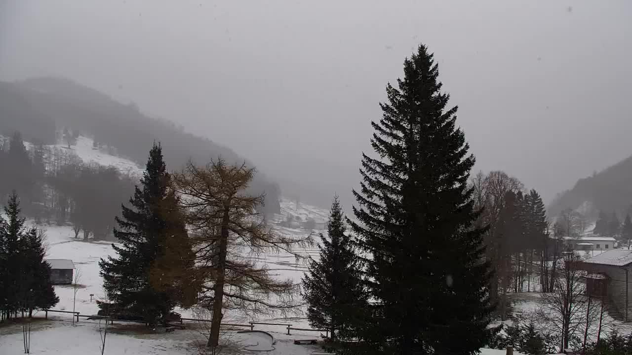 Webcam Lokve – La beauté de la forêt de Trnovo