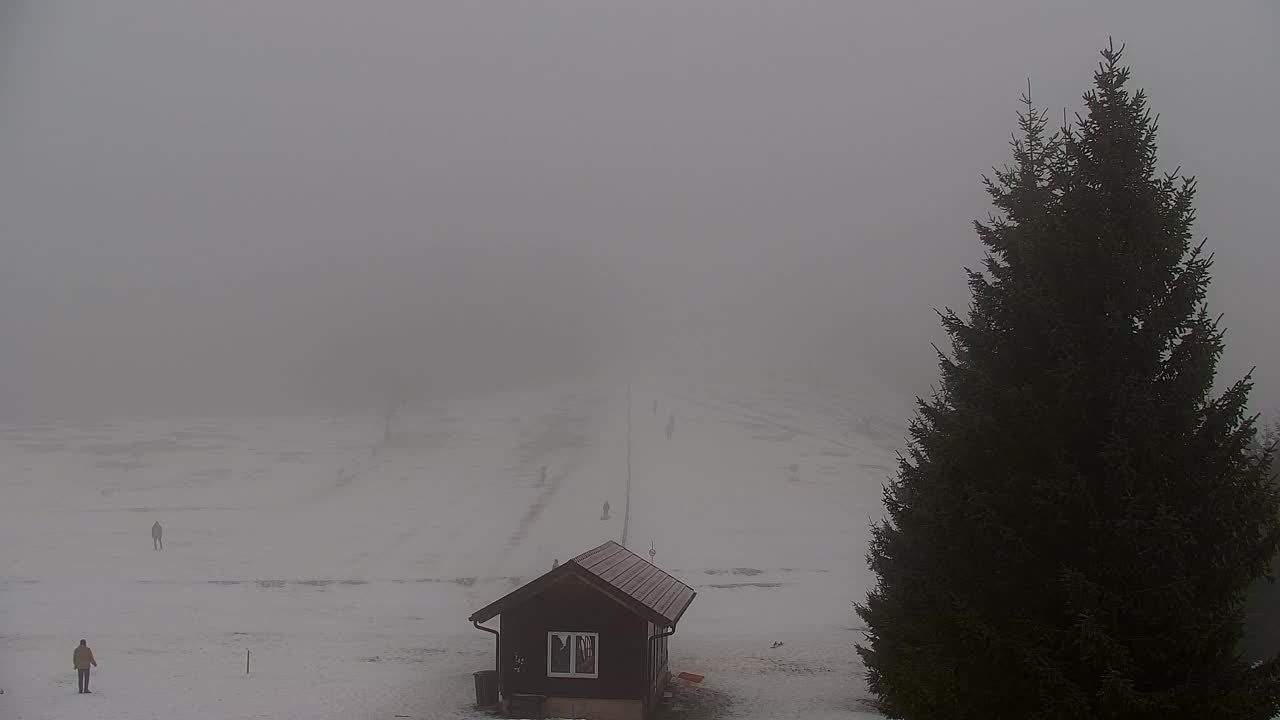 Webcam Lokve – La beauté de la forêt de Trnovo