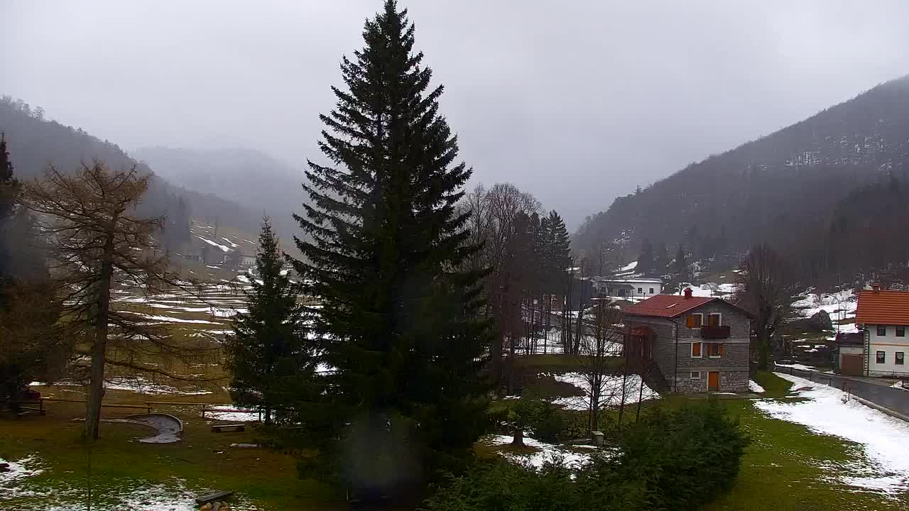 Webcam Lokve – La beauté de la forêt de Trnovo