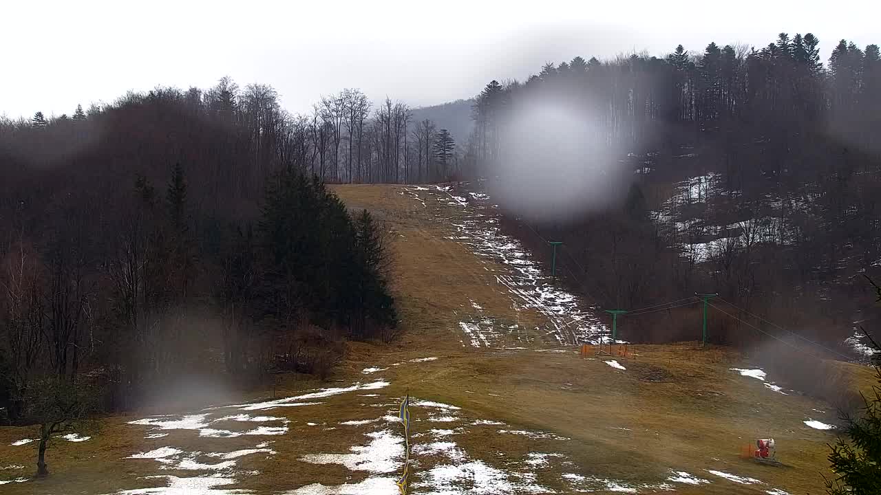 Webcam Lokve – La beauté de la forêt de Trnovo