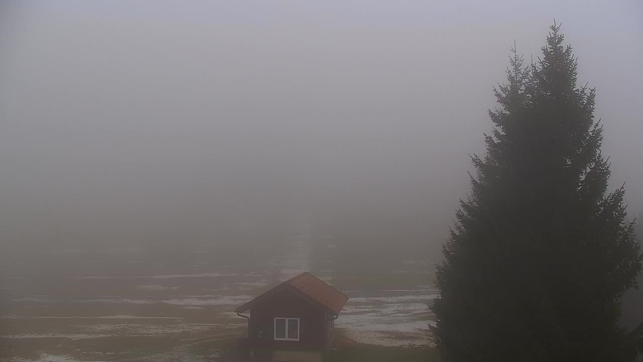 Webcam Lokve – The beauty of the Trnovo forest