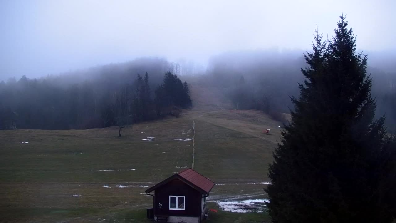 Webcam Lokve – La beauté de la forêt de Trnovo