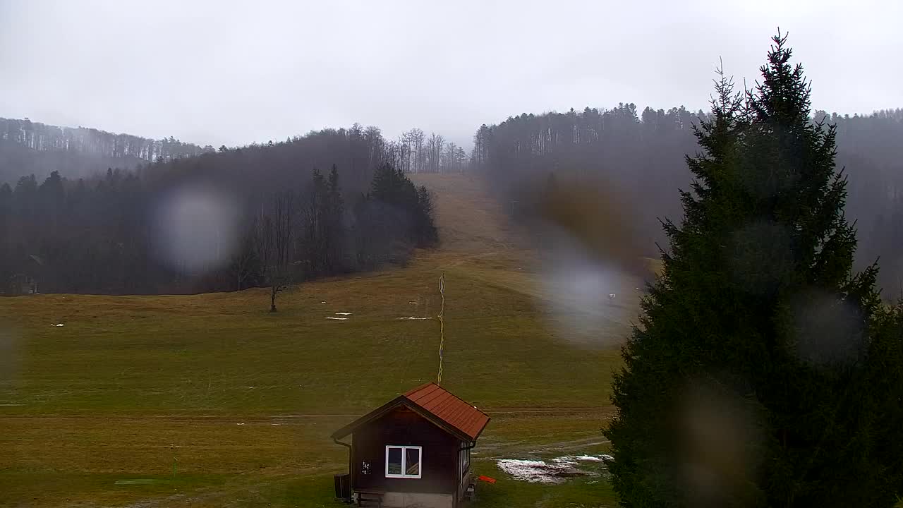 Webcam Lokve – La beauté de la forêt de Trnovo