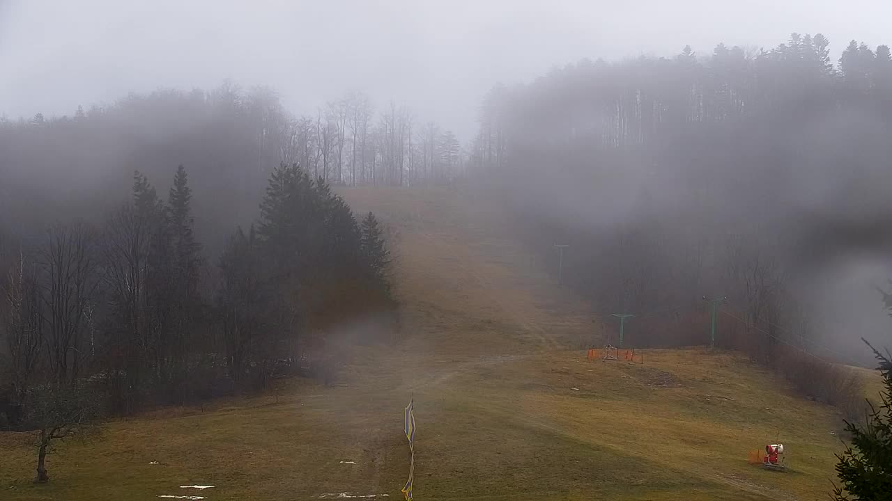 Webcam Lokve – Die Schönheit des Trnovo-Waldes