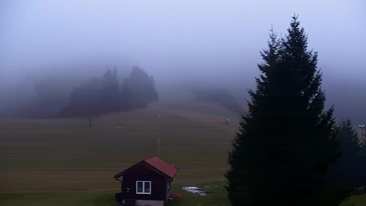 Webcam Lokve – La beauté de la forêt de Trnovo