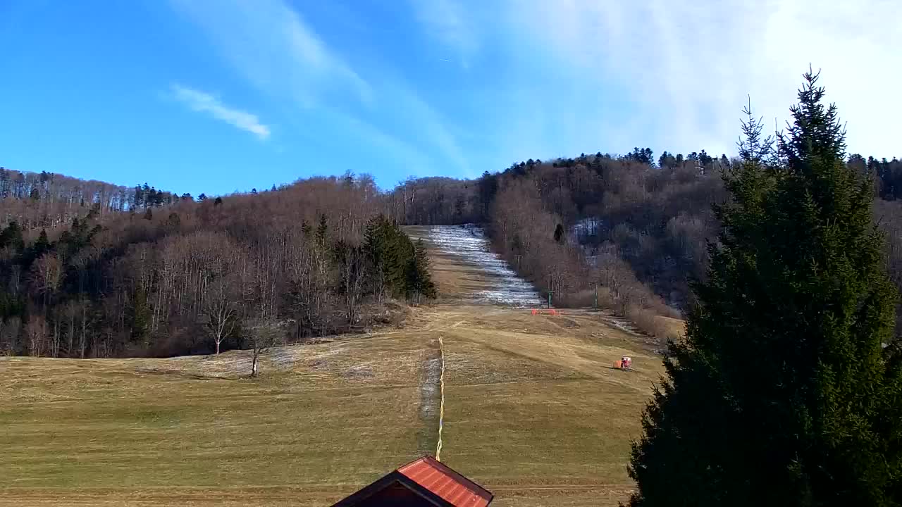 Webcam Lokve – The beauty of the Trnovo forest