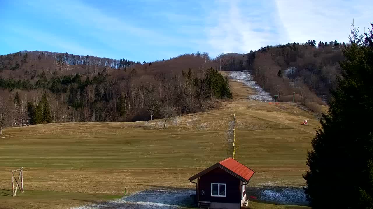 Webcam Loqua / Lokve – La bellezza della selva di Tarnova