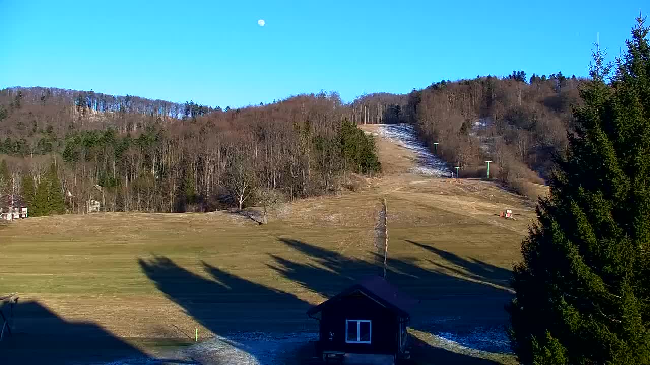 Webcam Loqua / Lokve – La bellezza della selva di Tarnova