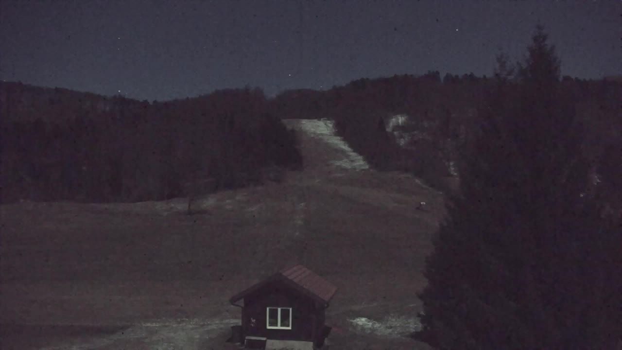 Webcam Lokve – The beauty of the Trnovo forest