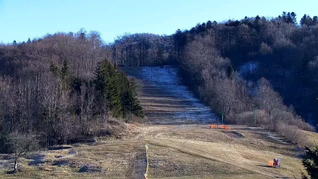 Webcam Lokve – The beauty of the Trnovo forest