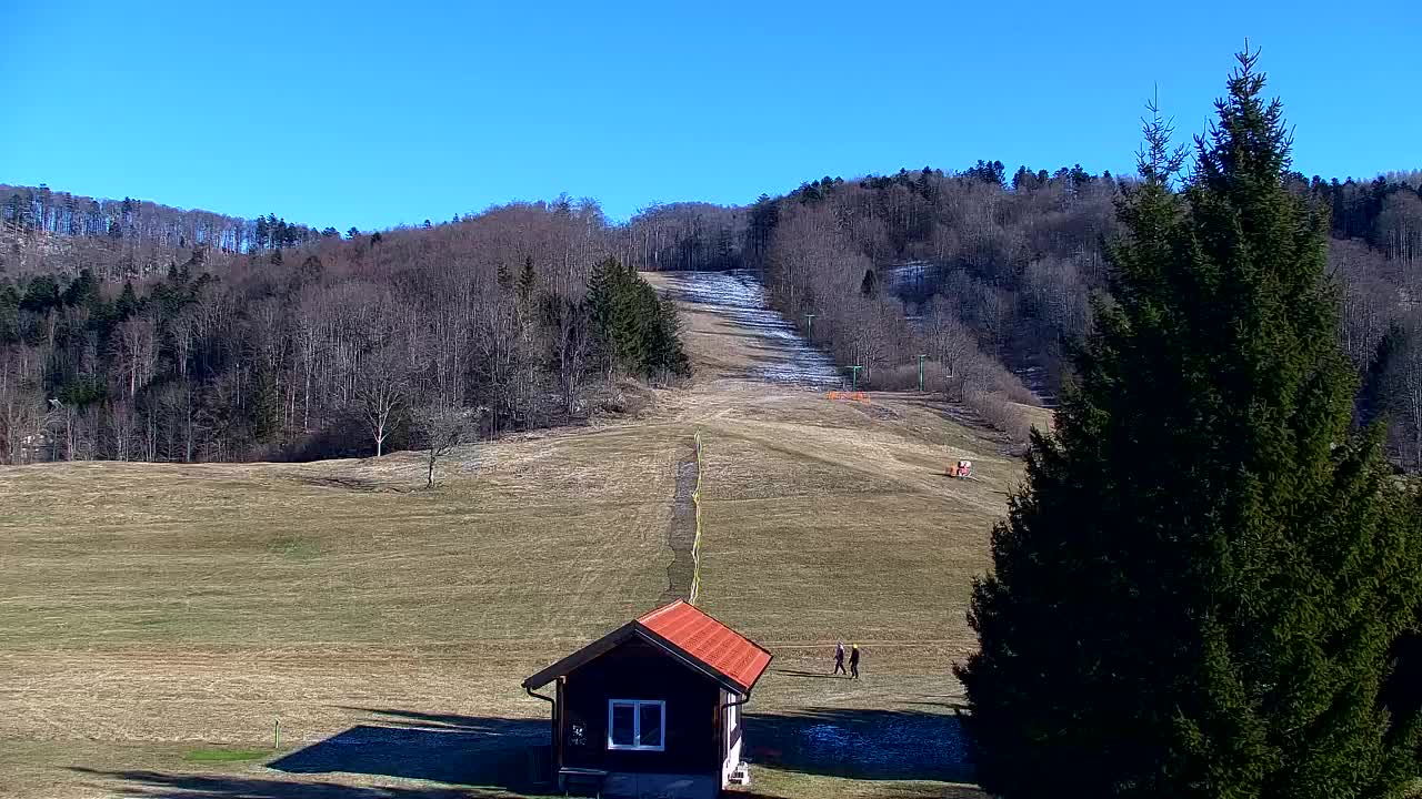 Webcam Lokve – The beauty of the Trnovo forest