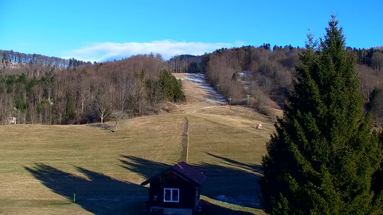 Webcam Lokve – The beauty of the Trnovo forest