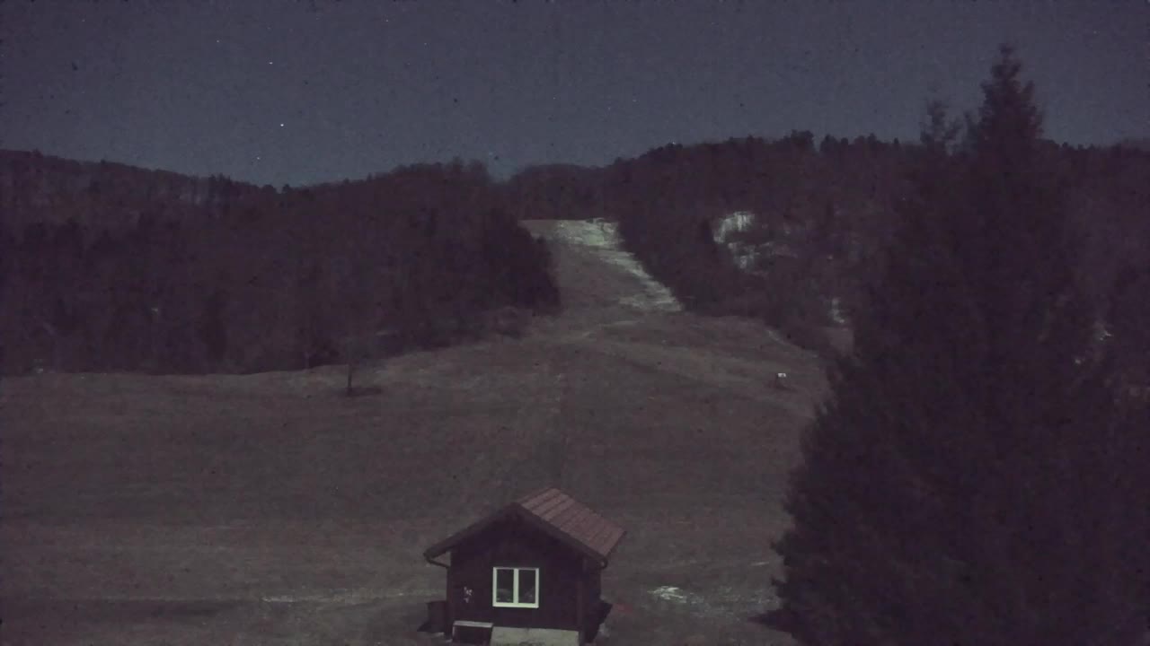 Webcam Lokve – The beauty of the Trnovo forest