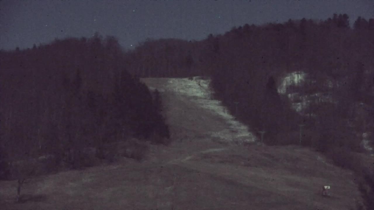 Webcam Lokve – La beauté de la forêt de Trnovo