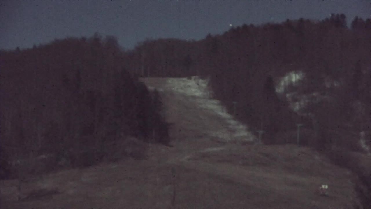 Webcam Lokve – La beauté de la forêt de Trnovo