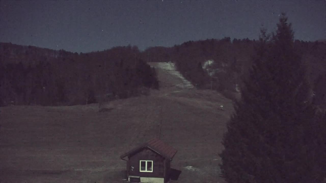 Webcam Lokve – The beauty of the Trnovo forest