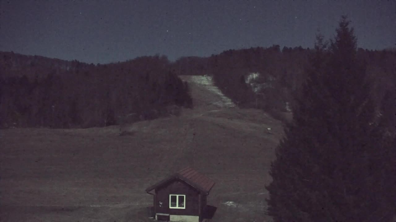 Webcam Lokve – La beauté de la forêt de Trnovo