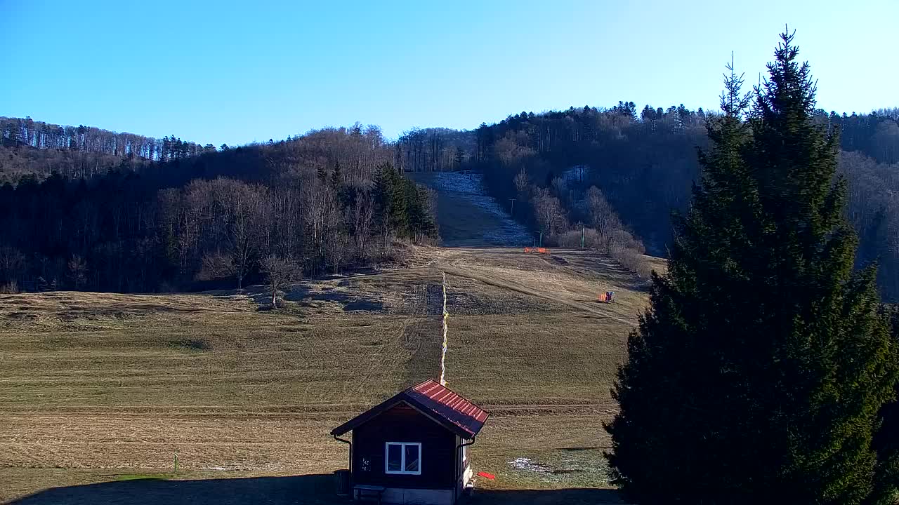 Webcam Lokve – The beauty of the Trnovo forest