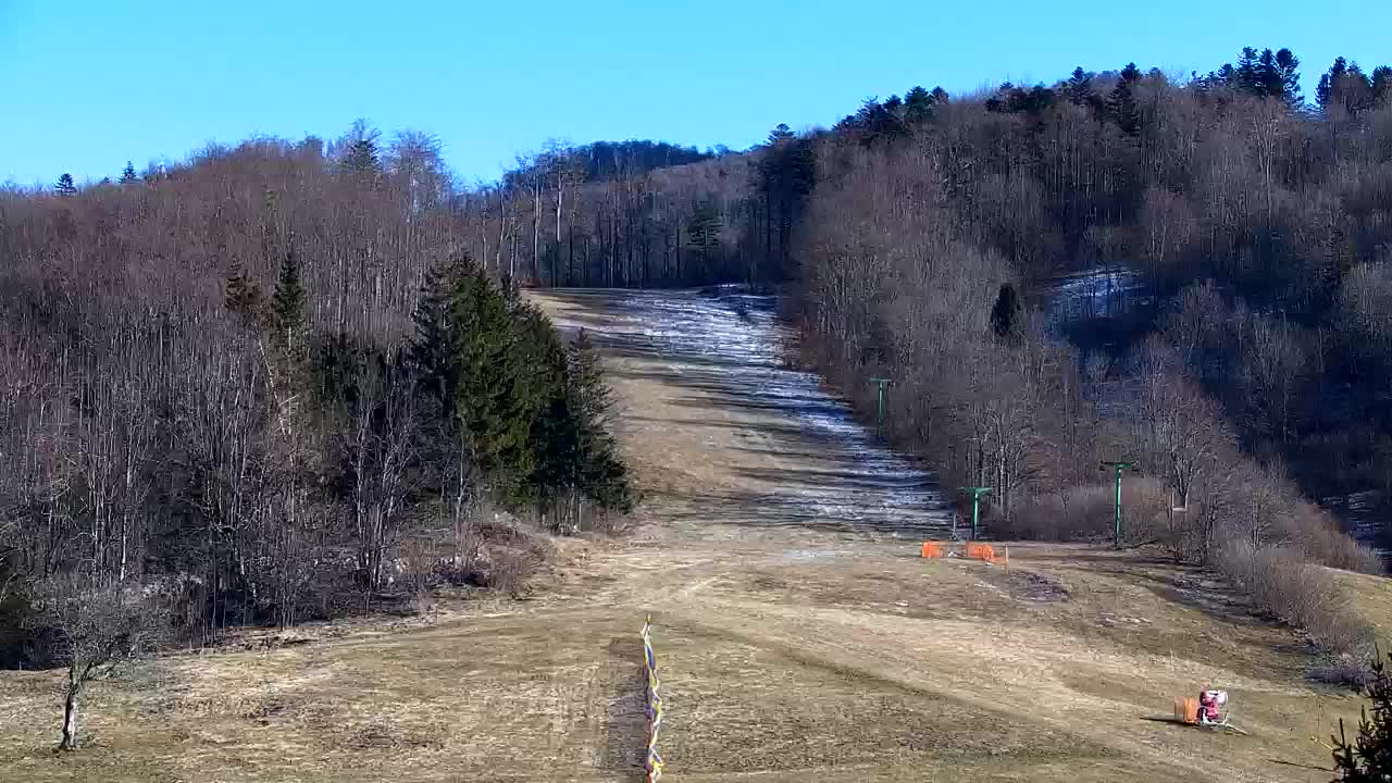 Webcam Lokve – The beauty of the Trnovo forest