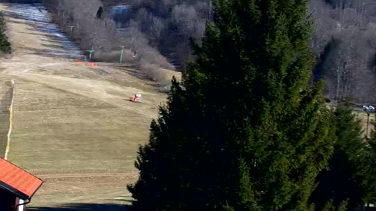 Webcam Lokve – The beauty of the Trnovo forest