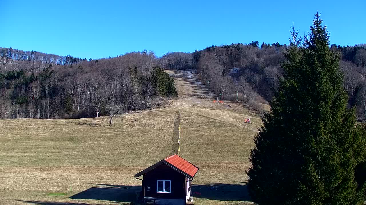 Webcam Lokve – The beauty of the Trnovo forest