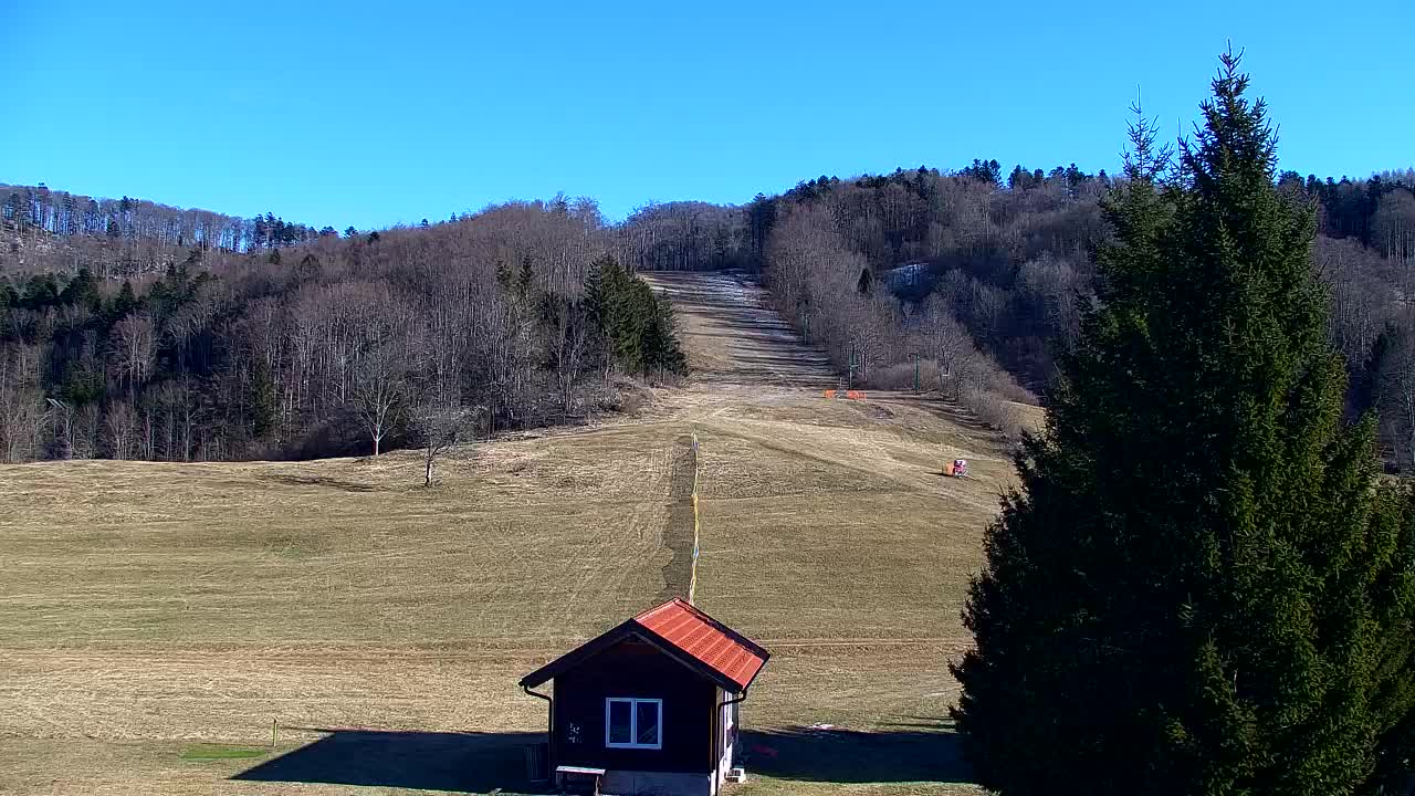 Webcam Lokve – The beauty of the Trnovo forest