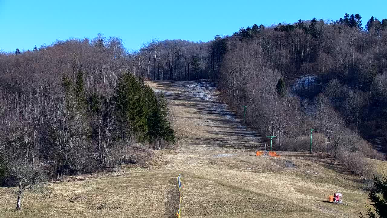 Webcam Lokve – The beauty of the Trnovo forest