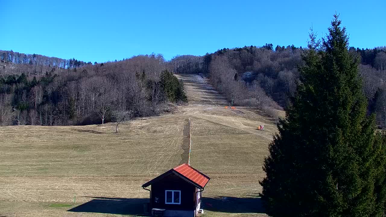 Webcam Lokve – The beauty of the Trnovo forest