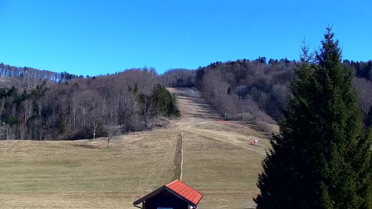 Webcam Lokve – The beauty of the Trnovo forest