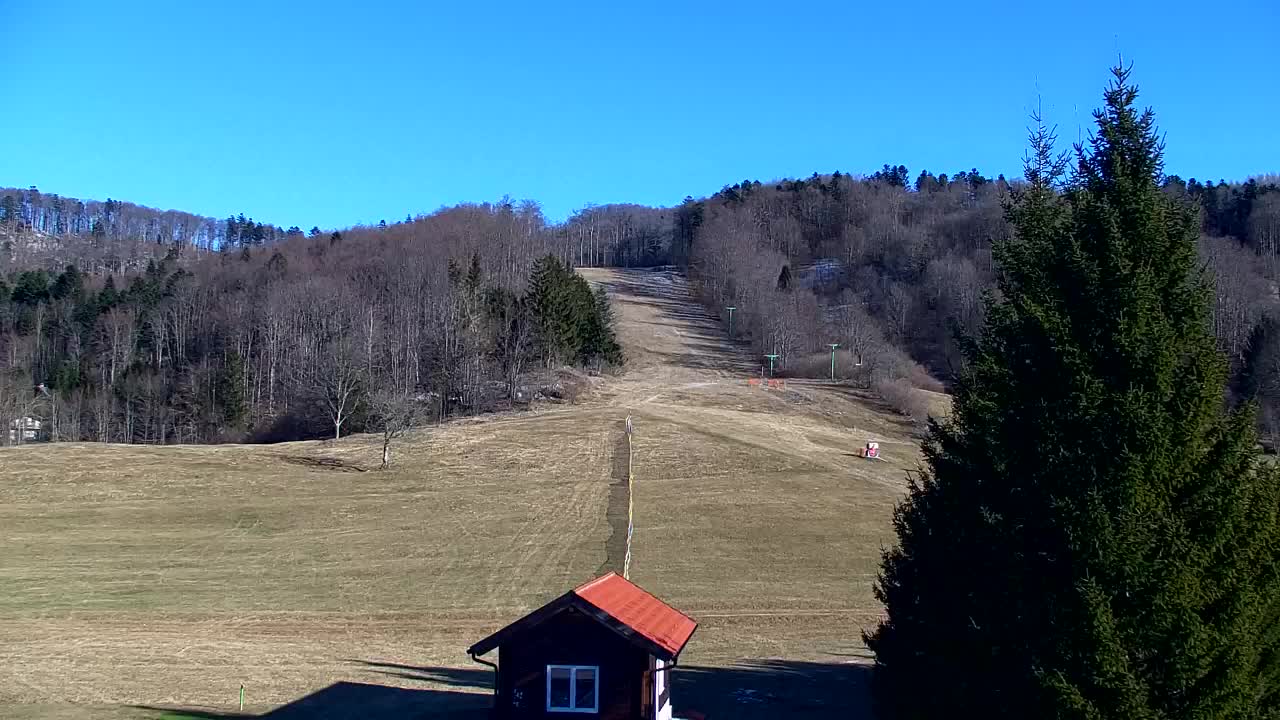 Webcam Lokve – The beauty of the Trnovo forest