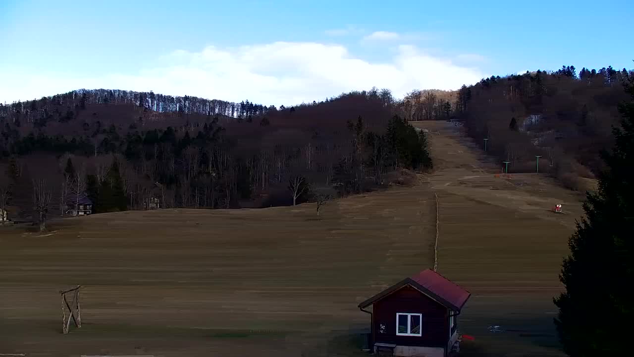 Webcam Lokve – The beauty of the Trnovo forest