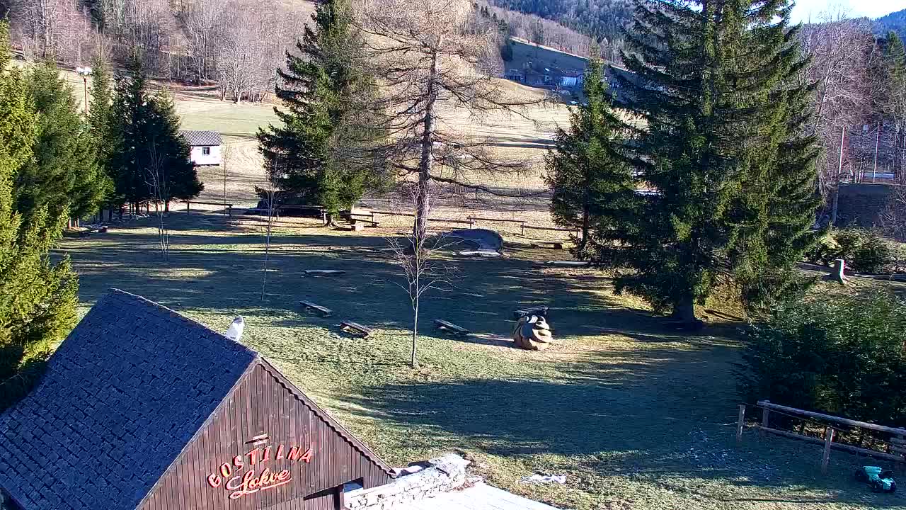 Webcam Lokve – The beauty of the Trnovo forest