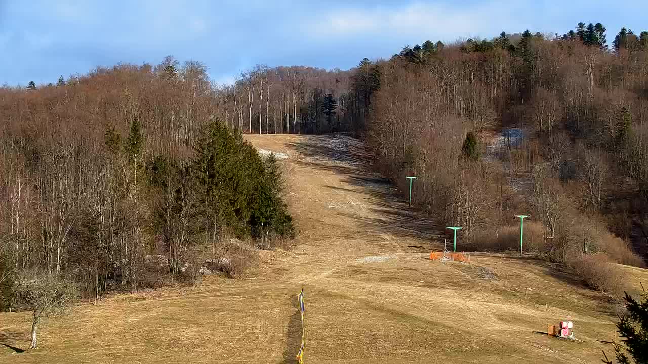 Webcam Lokve – The beauty of the Trnovo forest