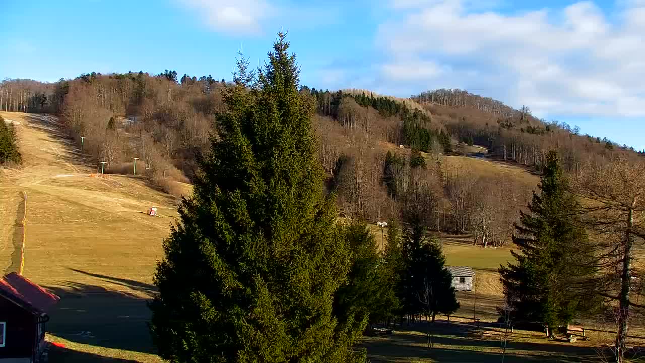 Webcam Lokve – The beauty of the Trnovo forest