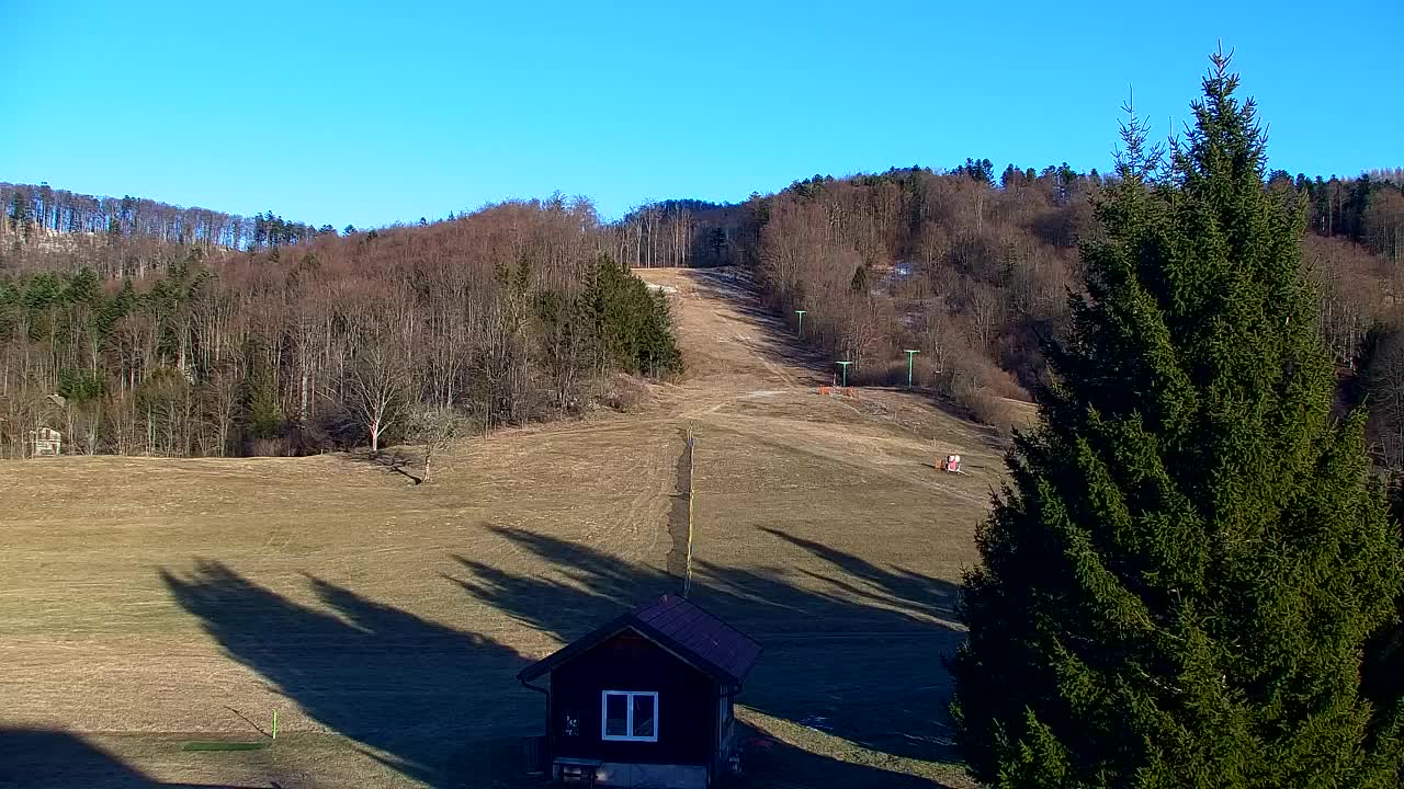 Webcam Lokve – The beauty of the Trnovo forest