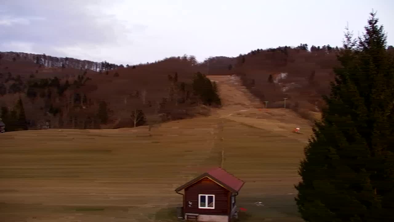 Webcam Lokve – The beauty of the Trnovo forest