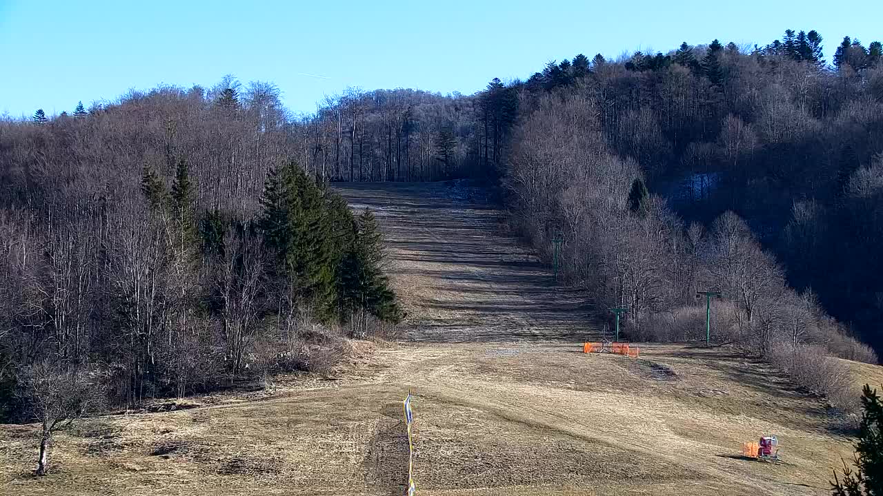 Webcam Lokve – La beauté de la forêt de Trnovo