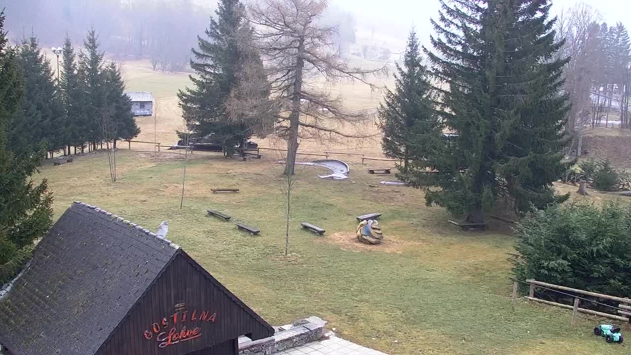 Webcam Lokve – La beauté de la forêt de Trnovo