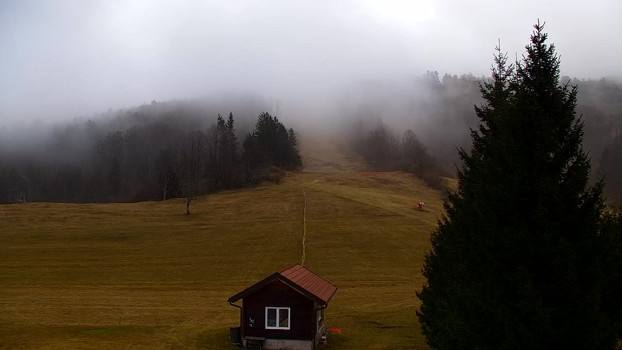 Webcam Lokve – Die Schönheit des Trnovo-Waldes