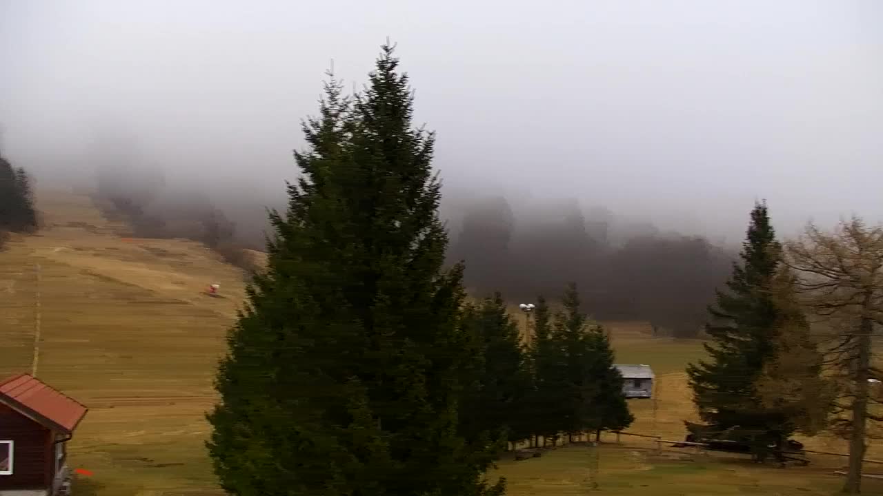 Webcam Lokve – La beauté de la forêt de Trnovo