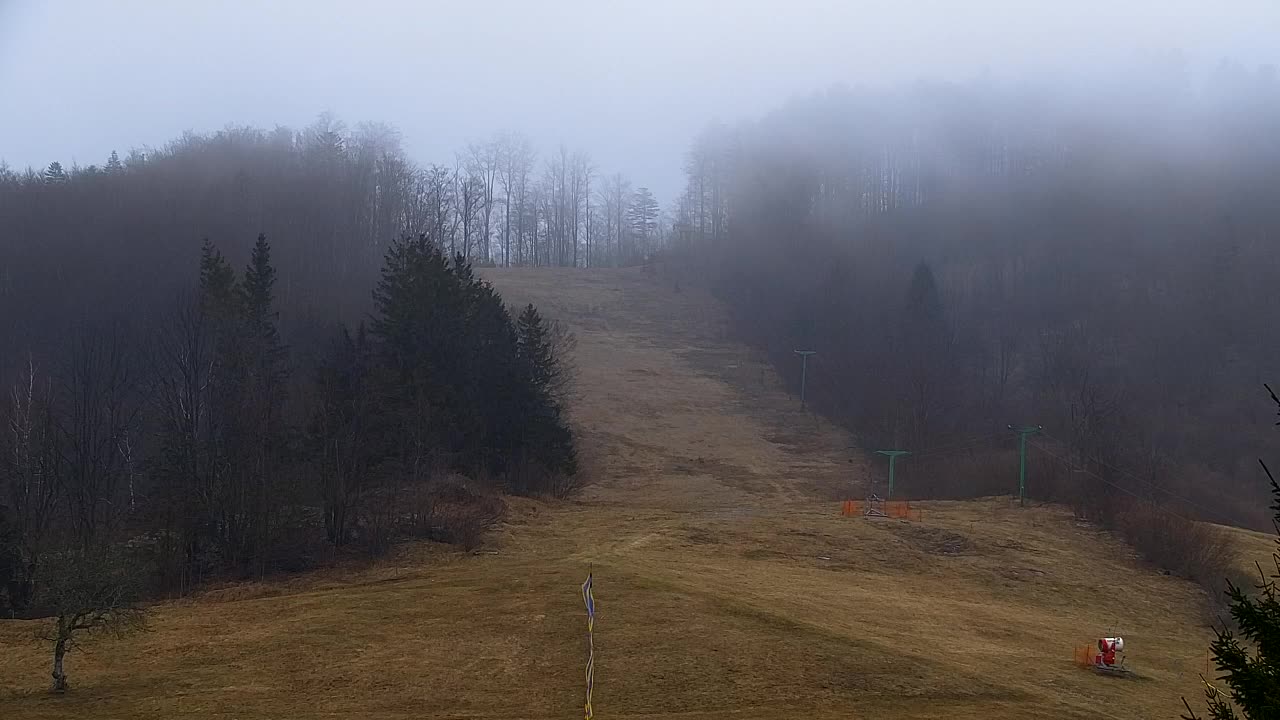 Webcam Lokve – La beauté de la forêt de Trnovo