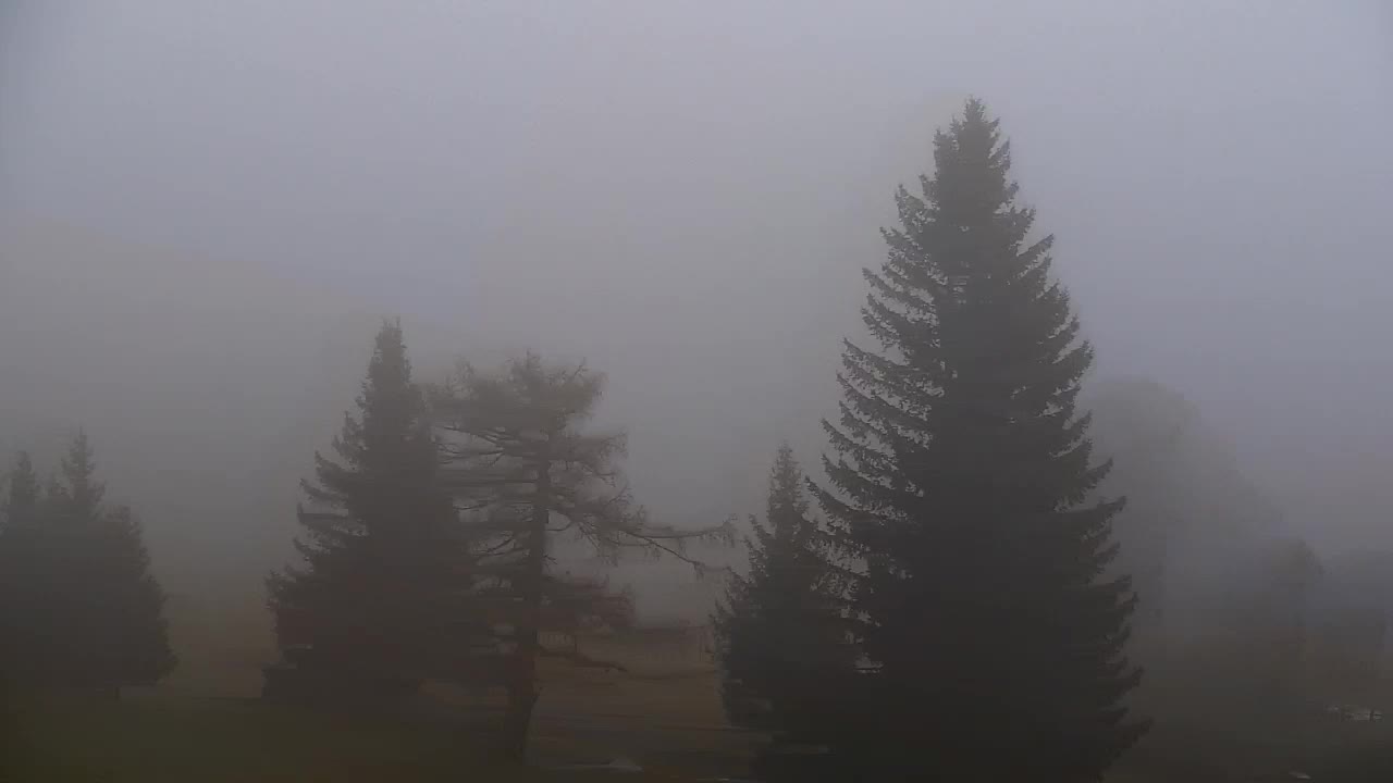 Webcam Lokve – La beauté de la forêt de Trnovo